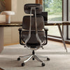 Forma, Ergonomic Executive Office Chair - Black