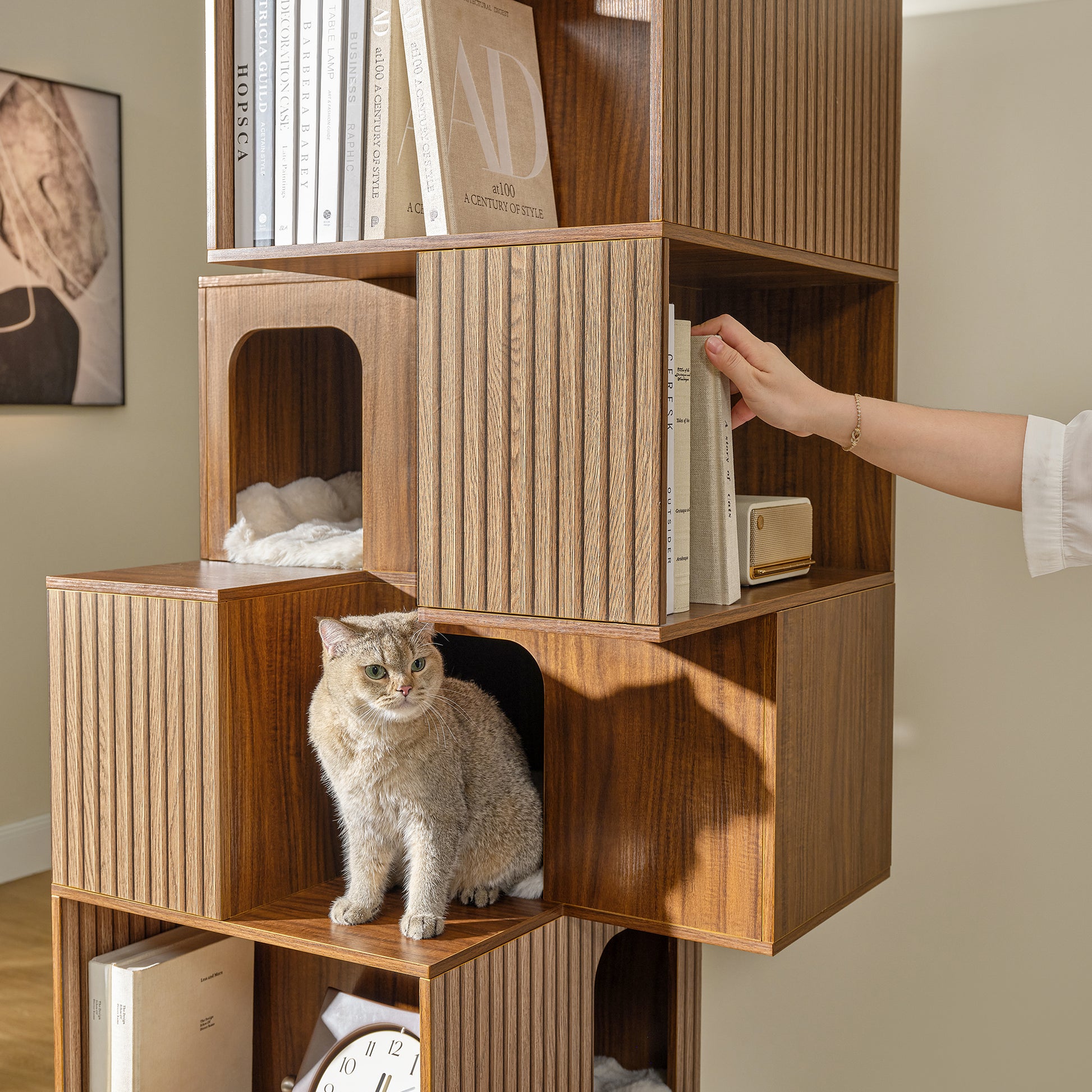 Eureka Ergonomic Pawlio 72" bookshelf cat tree walnut finish, cat in cubby, hand reaching for books.