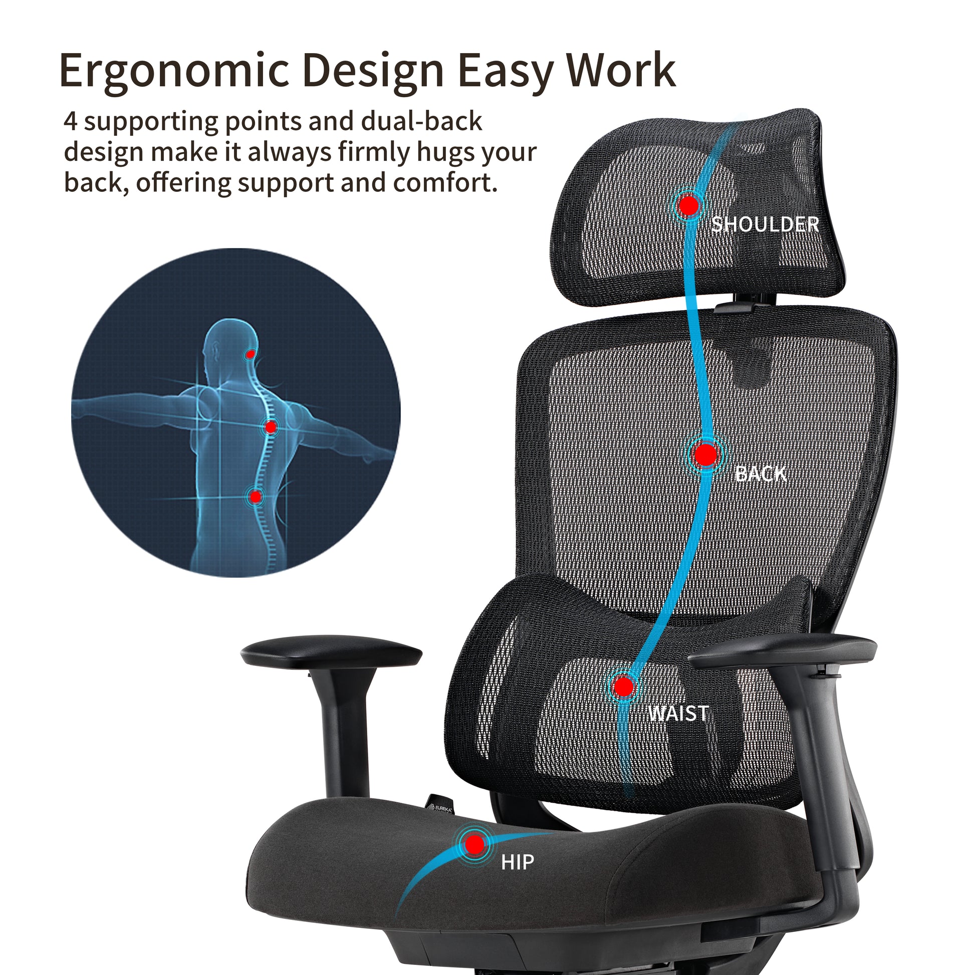 Lark Ergonomic Office Chair, Black Mesh Back, Lumbar Support, and Spinal Health Design, Ideal for Office Use.