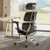 Forma, Ergonomic Executive Office Chair - Off-White