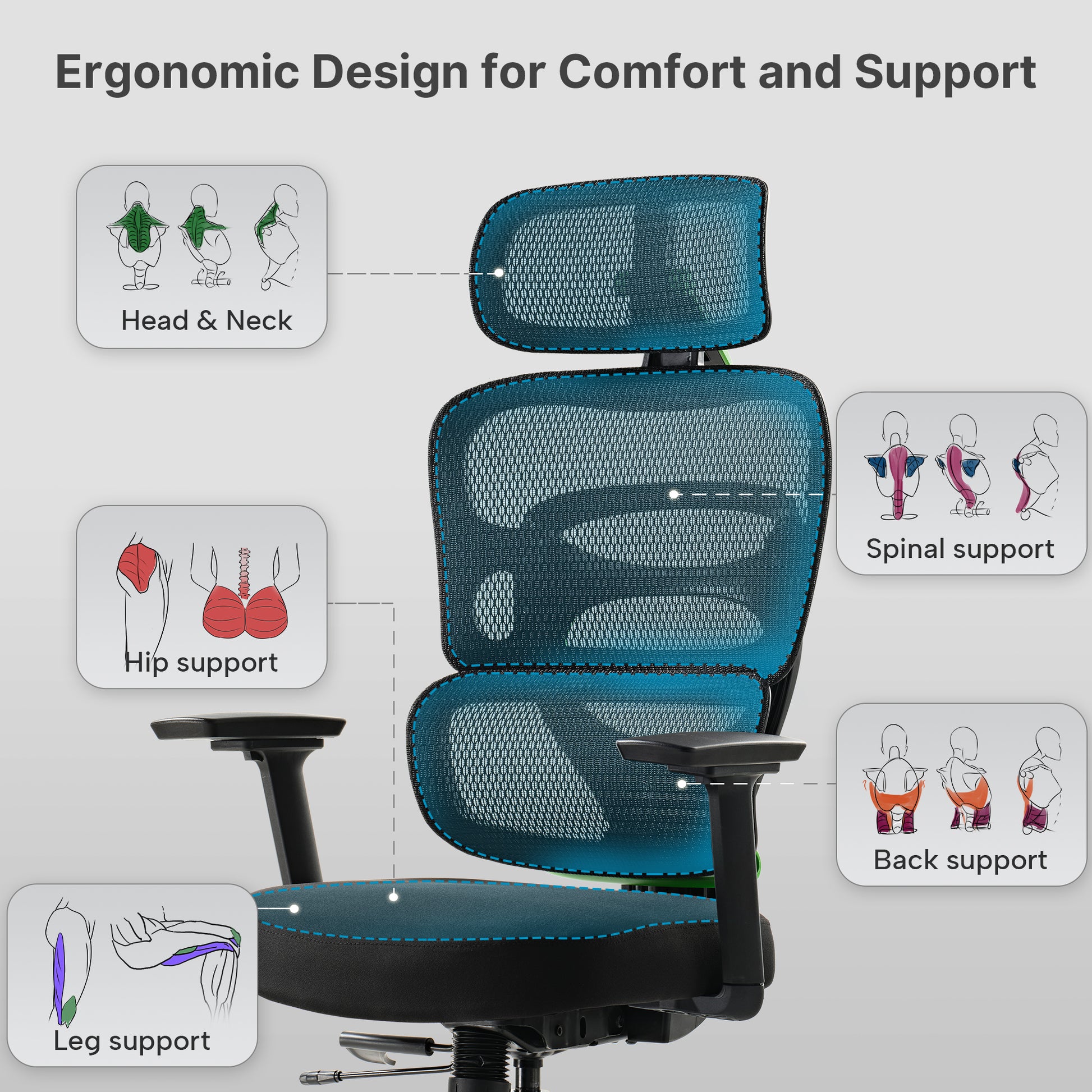 Axion Ergonomic Chair Showing Ergonomic Design for Head, Neck, Hip, Spinal and Back Support for Comfortable Posture.
