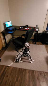 Eureka Ergonomic
