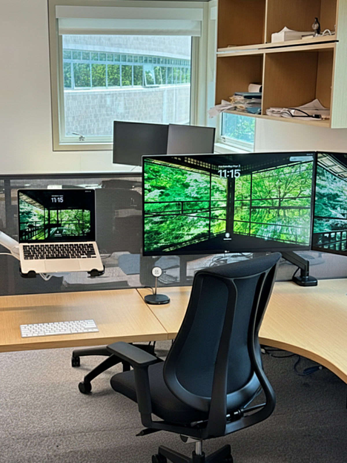 Eureka Ergonomic