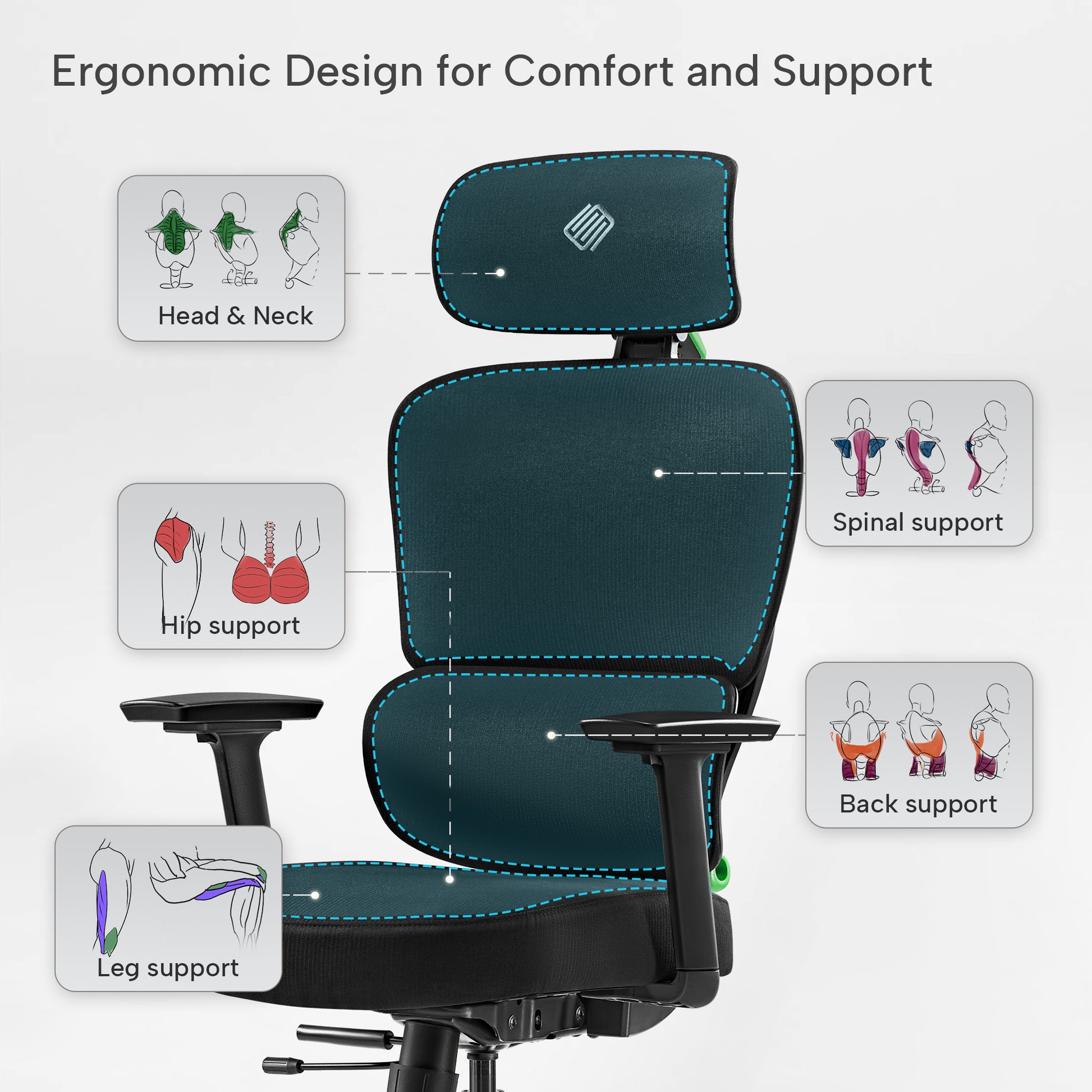 Ergonomic office chair with labeled support features on a white background, green, fabric