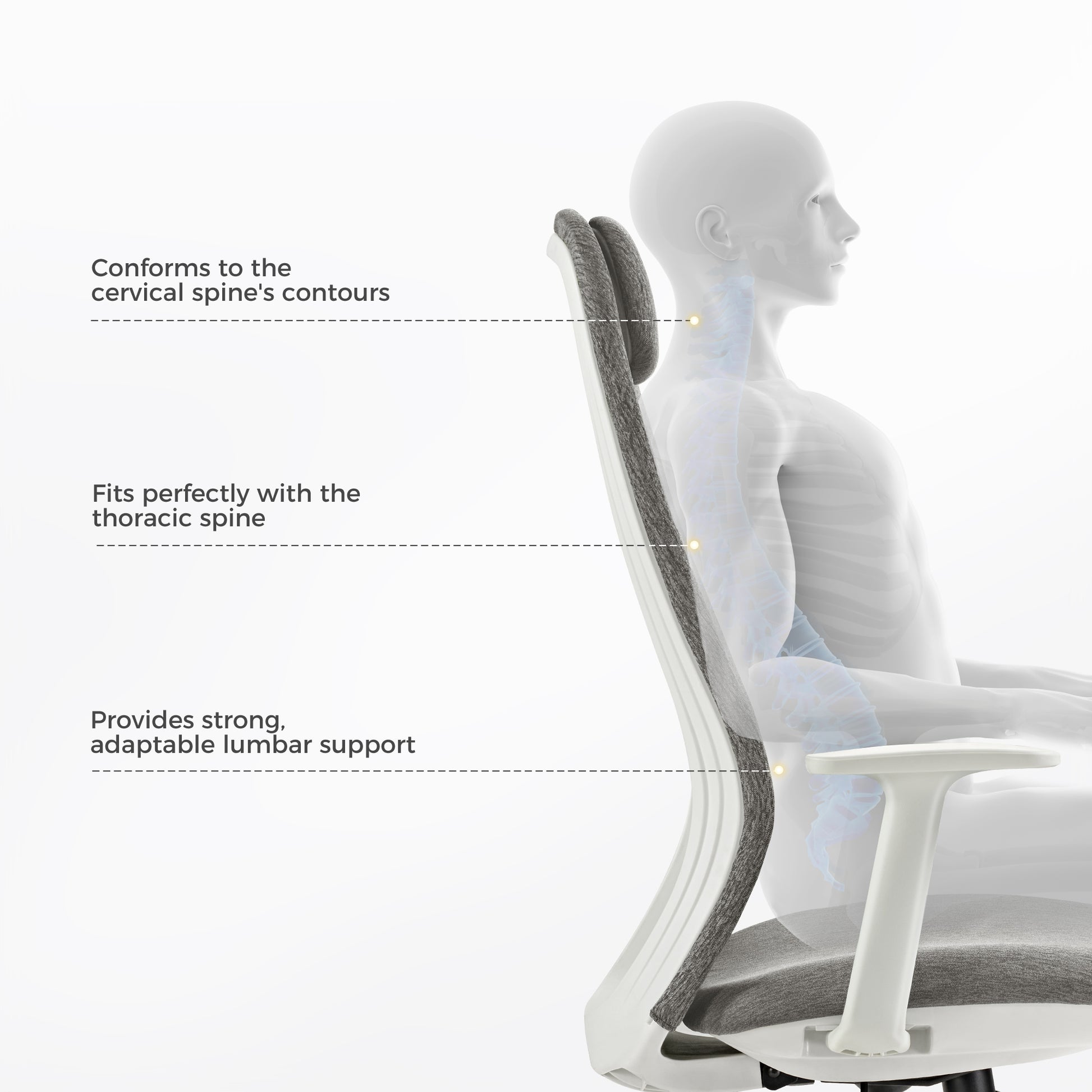 Skylar-Lite Ergonomic Office Chair Supports Cervical, Thoracic, and Lumbar Spine for Optimal Comfort and Posture.
