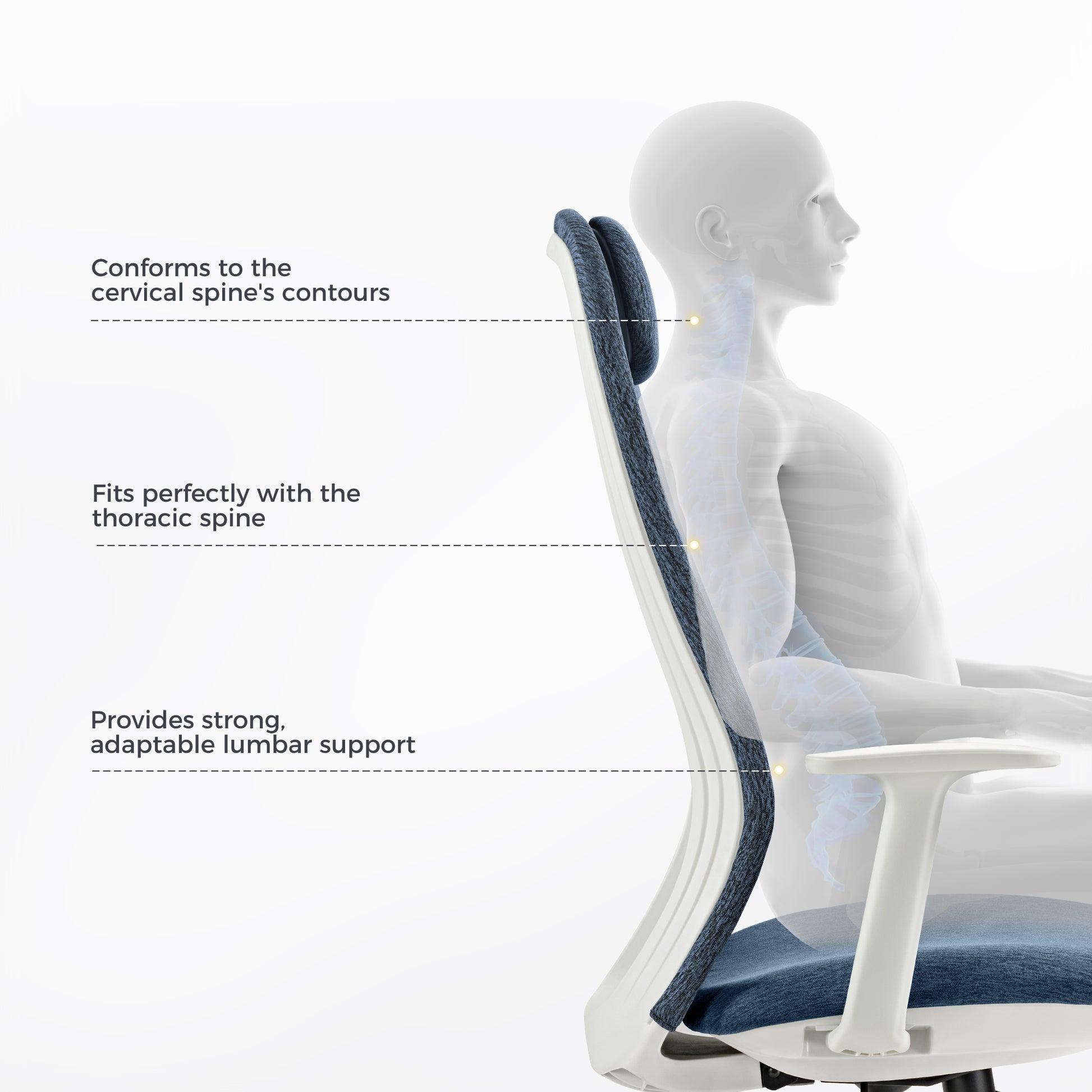 Skylar-Lite Duo Hue Ergonomic Office Chair With Spinal Support and Comfort Features for a Workspace.