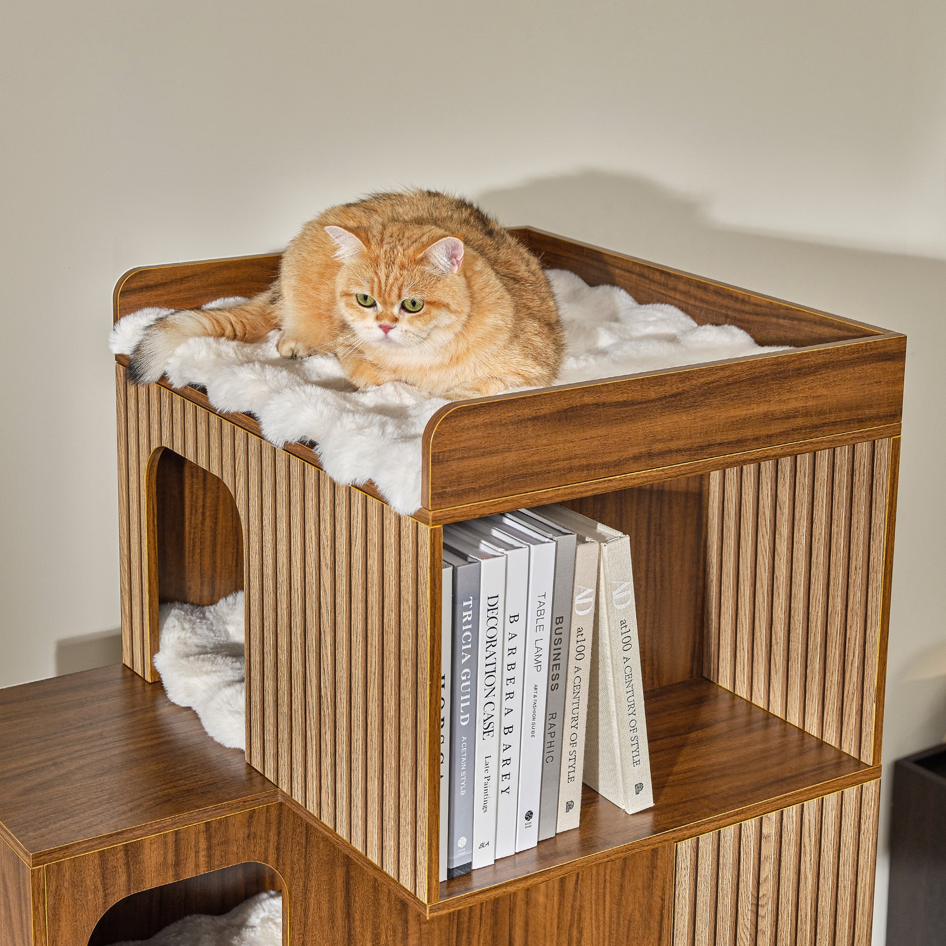 Eureka Ergonomic Golden cat relaxes on plush bed of Pawlio 72" bookshelf cat tree with ribbed wood panels and visible books.