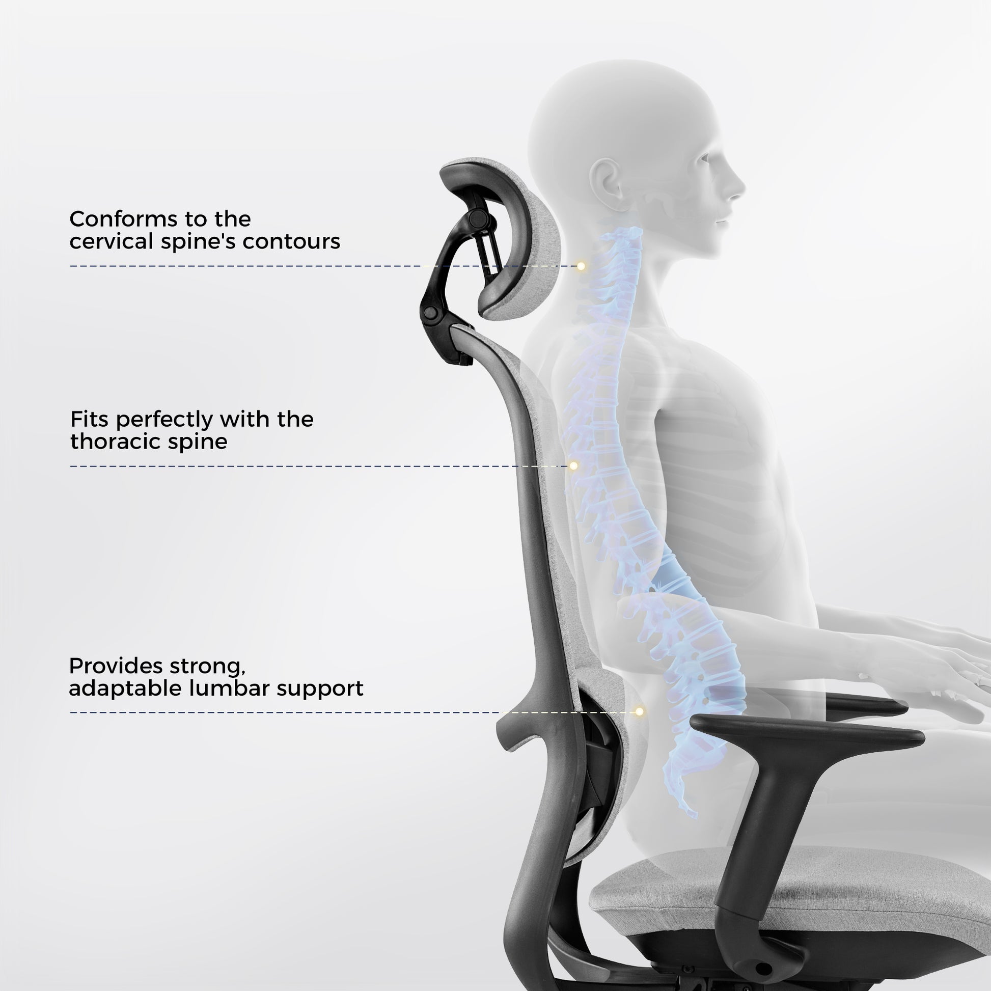 Skylar Modern Mesh Office Chair Ergonomic Design: Cervical, Thoracic, Lumbar Support for Comfort.