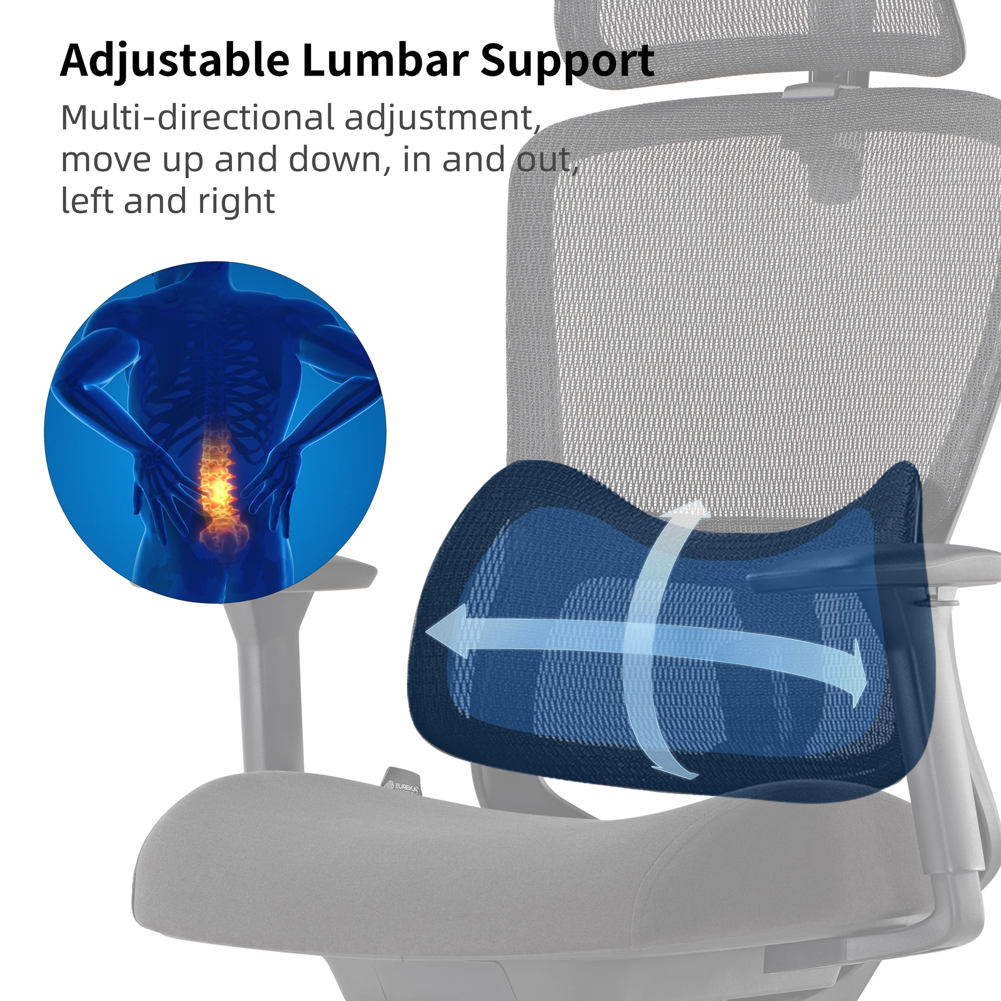 Lark Ergonomic Office Chair With Adjustable Lumbar Support, Multi-Directional Adjustment for Spinal Health.