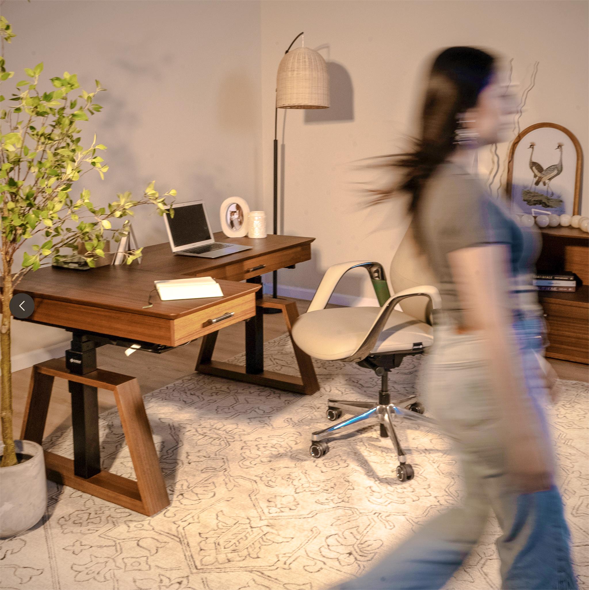 Eureka Ergonomic