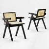 Mila Rattan Dining Chairs Set of 2, Walnut/Black - Black