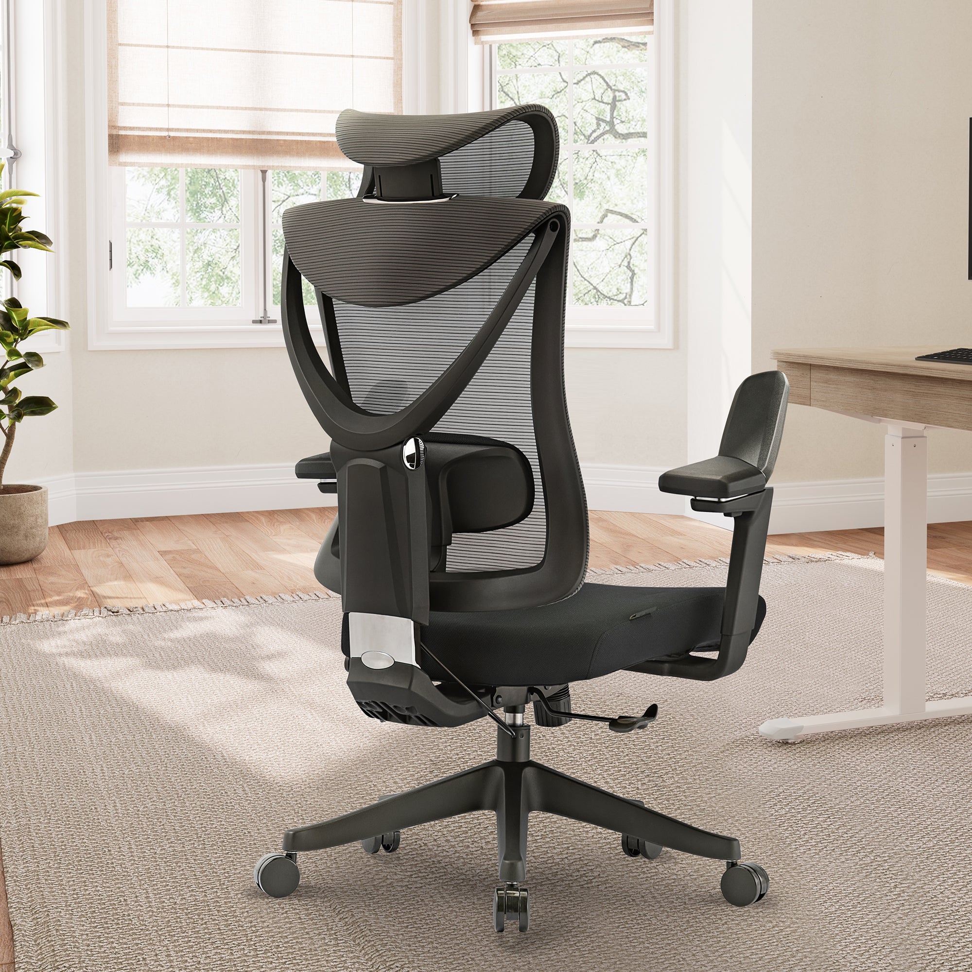 Eureka Ergonomic Mesh Best Adjustment Office Chair for Back Pain