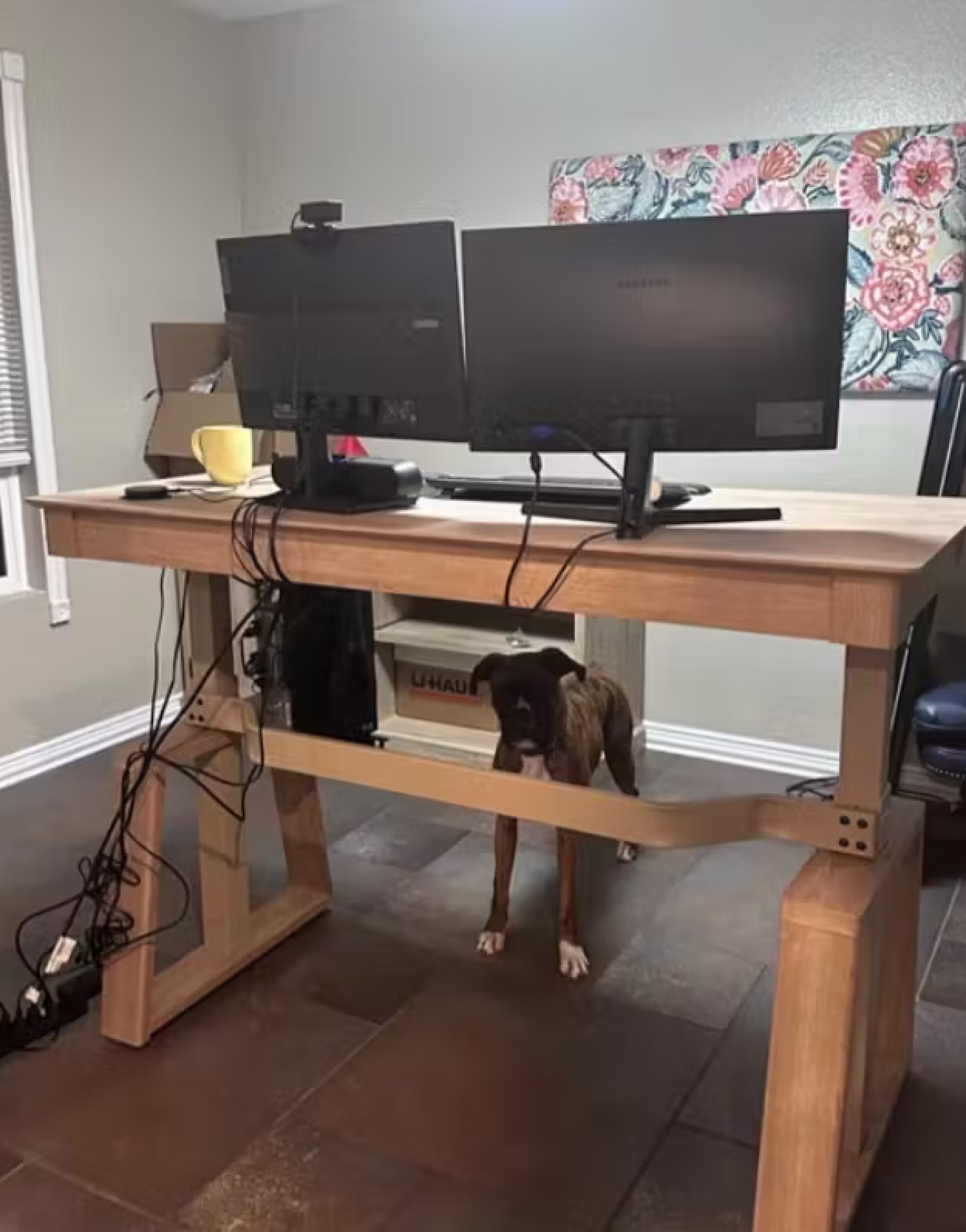 Eureka Ergonomic