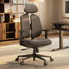 Flex, Dual-Backrests Ergonomic Office Chair - Dark Gray