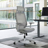 Mesh Ergonomic Office Chair - Gray