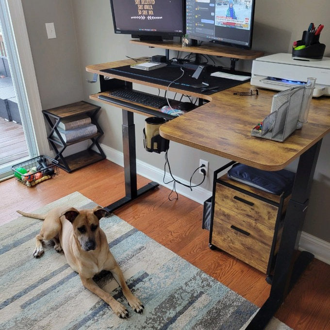 Eureka Ergonomic