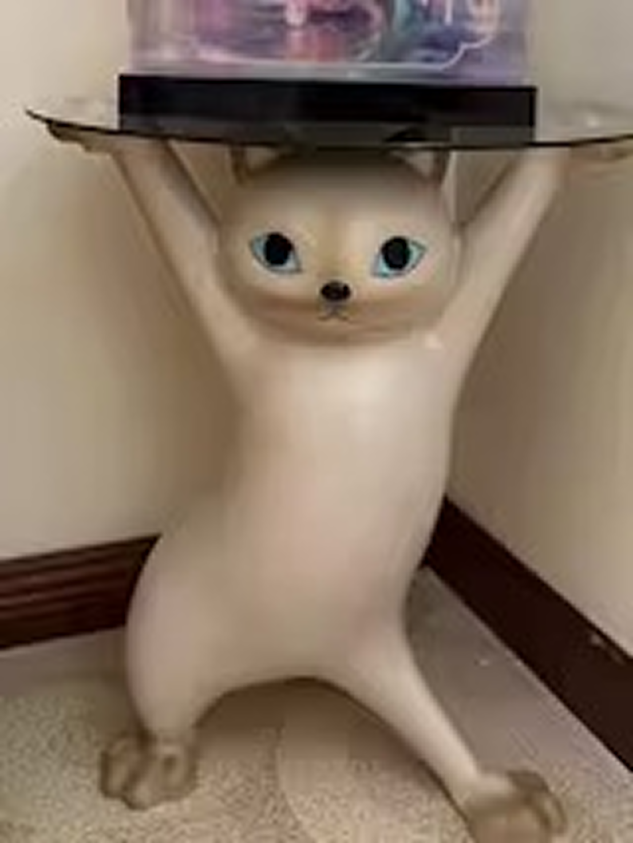 Eureka Ergonomic
