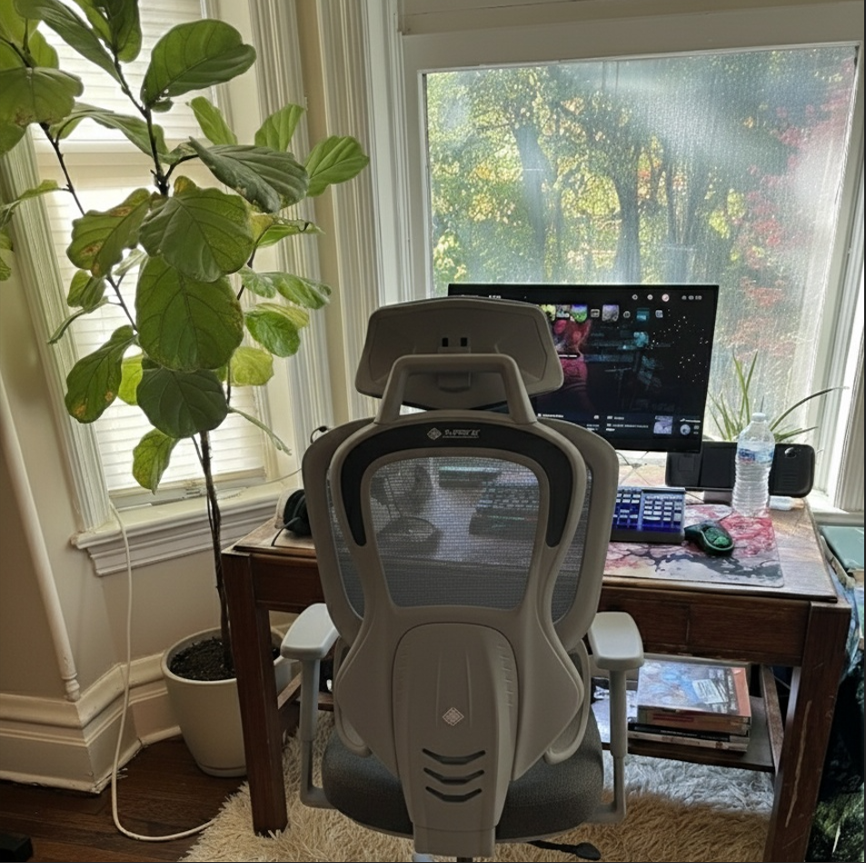 Eureka Ergonomic