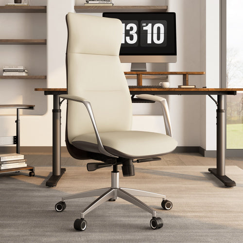 Executive vs. Ergonomic Chair: Which Is for You?