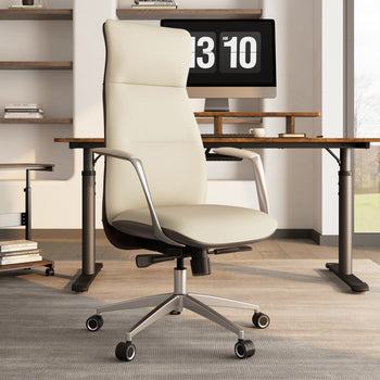 Executive vs. Ergonomic Chair: Which Is for You?