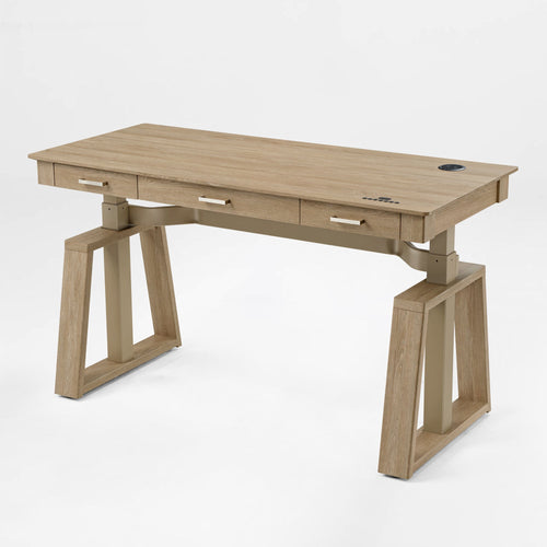 Executive Office Set：Ark EL Standing Desk & Executive Office Chair - Ark El Executive Standing Desk With Oak Veneer, Modern Design, and Built-In Features.