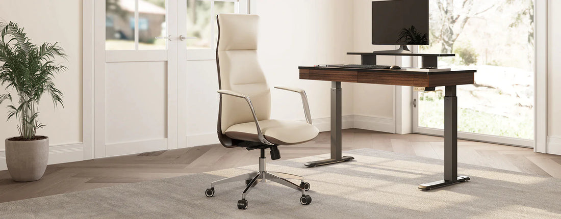 Find the best office chair to prevent back pain