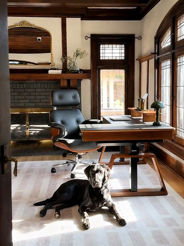 Eureka Ergonomic