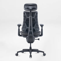 LiberNovo Omni, Ergonomic Office Chair