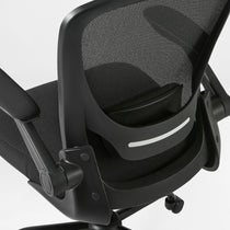 Onyx, Ergonomic Office Chair