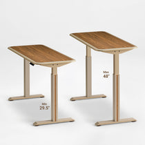 Norwood Standing Desk (55"x23")