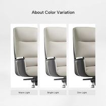 Royal II Office Chair Leather Detail, Highlighting Texture and Color Variations, Affected By Lighting.