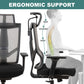 Max, Ergonomic Office Chair