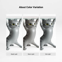 23''H, Enchanting Cat Side Table