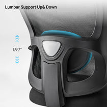 Eureka Ergonomic HOSS Big & Tall Heavy Duty Mesh Ergonomic Office Chair,Black Lumbar