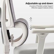 Eureka Ergonomic Exis ergonomic office chair close-up on adjustable lumbar support, striped mesh back and gray seat.