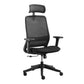 Eureka Ergonomic Adjustable Lumbar Support  Ergonomic Office Chair,Black