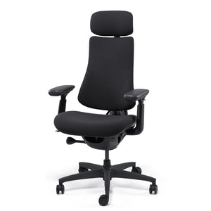 LiberNovo Omni Ergonomic Office Chair, Midnight Black