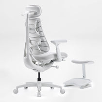 LiberNovo Omni, Ergonomic Office Chair