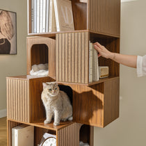Eureka Ergonomic Pawlio 72" bookshelf cat tree walnut finish, cat in cubby, hand reaching for books.