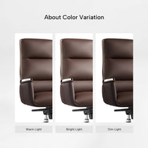 Royal II, Silicone & Leather Executive Ergonomic Office Chair