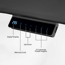 Prime Electric Standing Desk with RGB Lighting (55"x34")