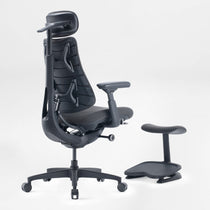 LiberNovo Omni, Ergonomic Office Chair