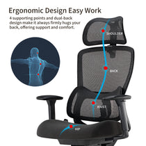 Lark Ergonomic Office Chair, Black Mesh Back, Lumbar Support, and Spinal Health Design, Ideal for Office Use.