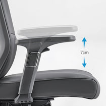 Eureka Ergonomic Valen Executive Office Chair adjustable armrest