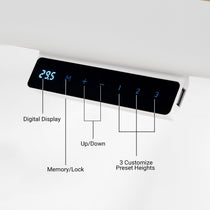 Prime Electric Standing Desk with RGB Lighting (55"x34")