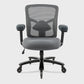 Eureka Ergonomic Big & Tall Heavy Duty Mesh Ergonomic Office Chair,Gray