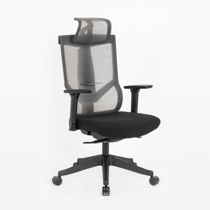 Max, Ergonomic Office Chair