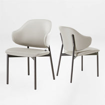 Noble, Upholstered Dining Side Chairs Set of 2, Gray