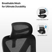 Exis,Ergonomic Office Chair