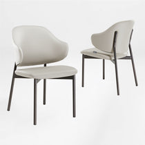 Noble, Upholstered Dining Side Chairs Set of 2, Gray